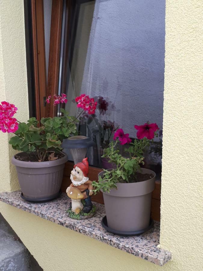 Apartment Dujica Zengg Kültér fotó